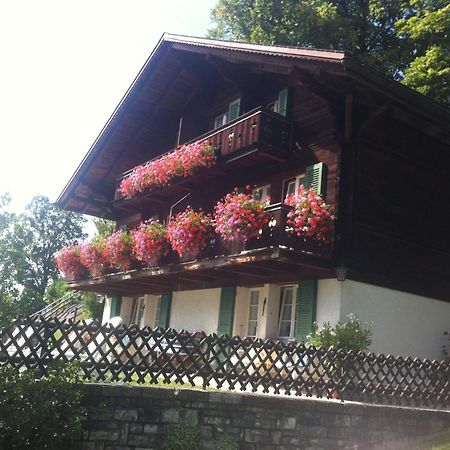 Hotel Sonnenberg Grindelwald Exterior photo