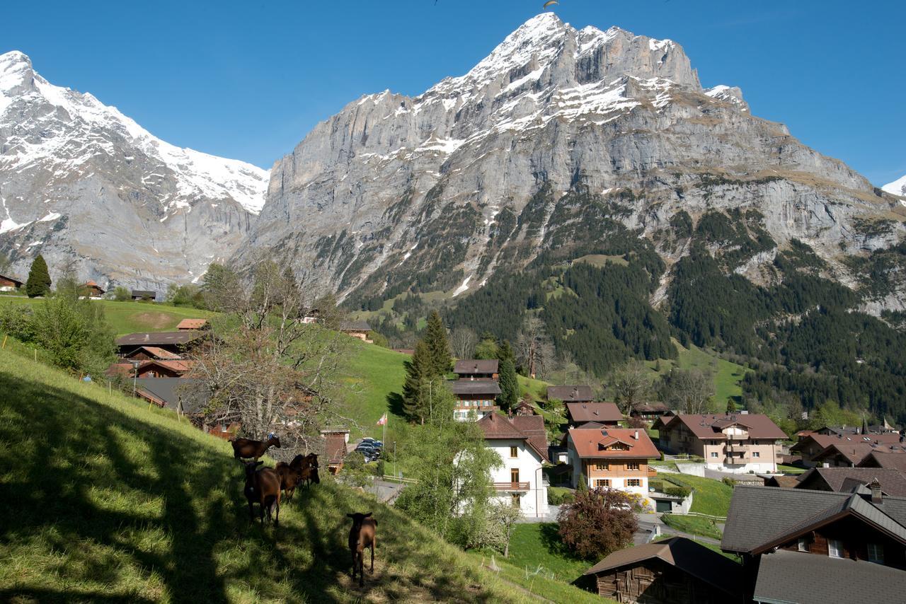 Hotel Sonnenberg Grindelwald Exterior photo